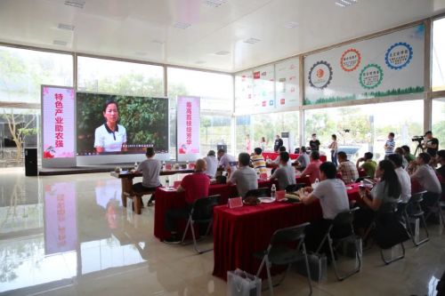 临高荔枝香飘电商路 区域农产品品牌推广活动圆满落幕